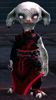 Awakened Inquest (Sandswept Isles 1).jpg