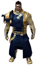 Leather armor norn male front.jpg
