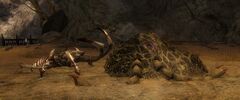 Devourer Nest (Plains of Ashford).jpg