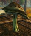 Thumbnail for version as of 02:04, 7 July 2026