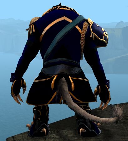 Back view