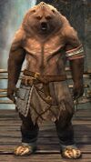 Lowland Kodan heavy 4.jpg