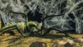 One Path Ends 4.jpg
