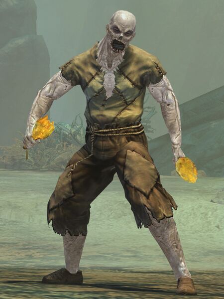 File:Risen Servant (male 1).jpg