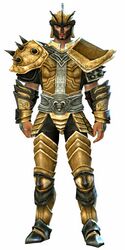 Heritage armor (heavy) human male front.jpg