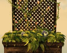 Lattice Planter with Blue Petunias close-up.jpg
