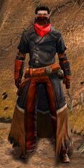 Seanans Bandit Disguise male.jpg