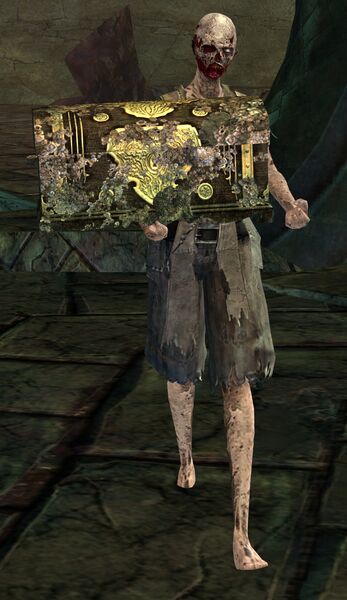File:Risen Courier (female 1).jpg