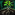 Biography Right To Grow.png