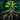 Biography Right To Grow.png