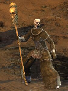 Risen Wizard (male 1 Deathwish).jpg