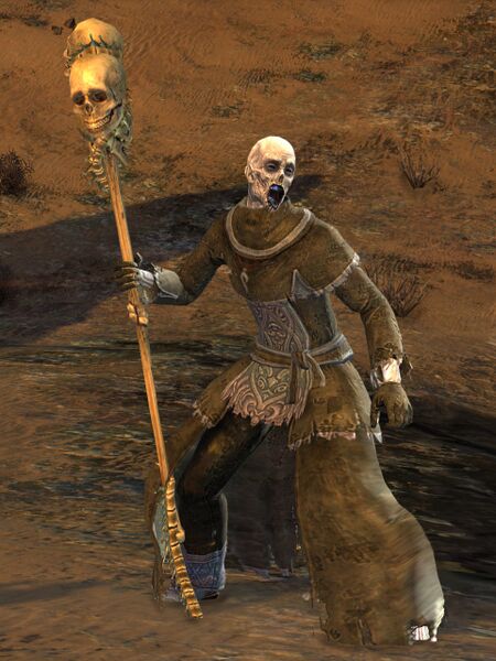 File:Risen Wizard (male 1 Deathwish).jpg