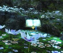Ancient Tome (Shipwreck Strand) (item).jpg