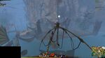 Aspect Gatherer 11 2021.jpg