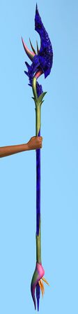 Strelitzia Crystallinum Spear.jpg