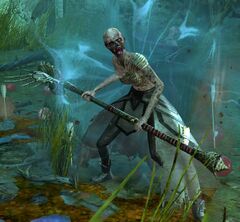 Risen Acolyte (female 1 staff).jpg