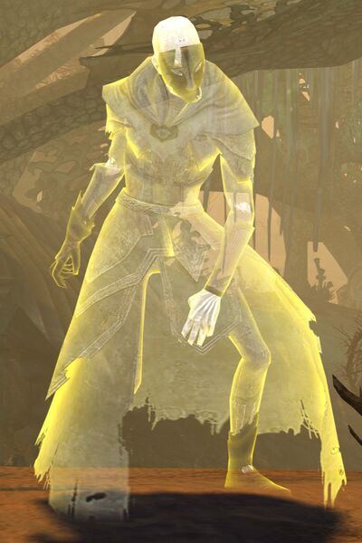 File:Risen Acolyte (vision male 1).jpg