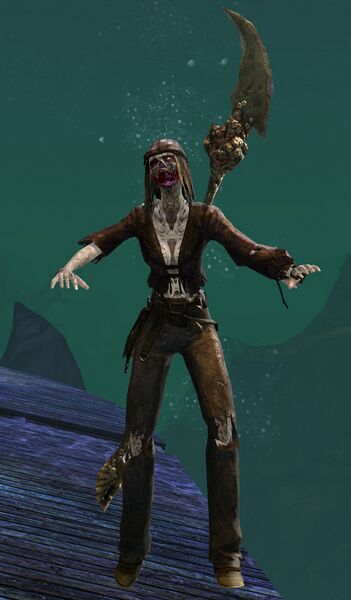 File:Risen Pirate (female 1 spear).jpg
