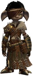 Wandering Weapon Master Outfit