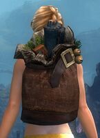Toymaker's Bag.jpg