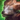 Mini Rock Deer.png