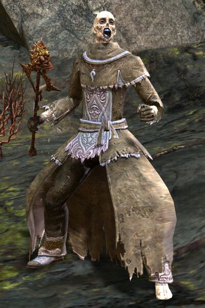 File:Risen Wizard (male 1 scepter).jpg