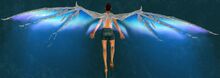Aurene Wings Glider.jpg