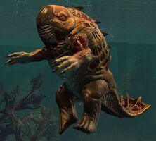 Risen Quaggan (underwater).jpg