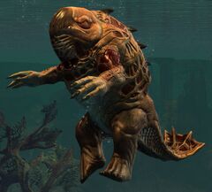 Risen Quaggan (underwater).jpg