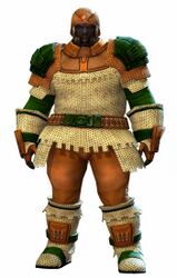 Chain armor norn male front.jpg