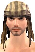 Iron's Tailpipe Bandana.jpg