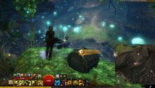 Skyscale Lost—Coddler's Cove.jpg
