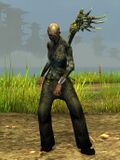 Unchained Acolyte (Canthan female 1).jpg