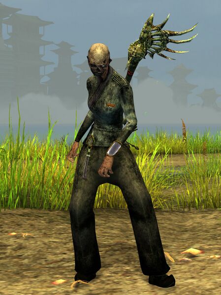 File:Unchained Acolyte (Canthan female 1).jpg