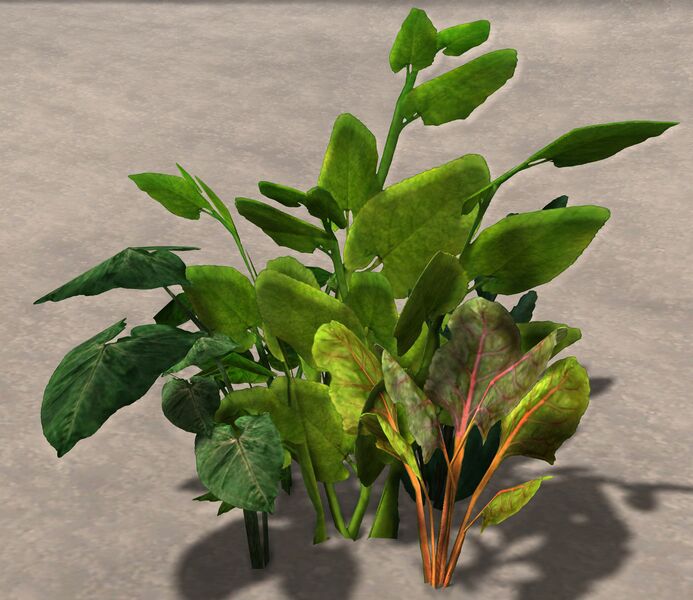 File:Potato (node).jpg