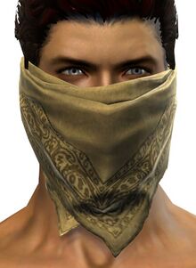 Adventurer's Scarf.jpg