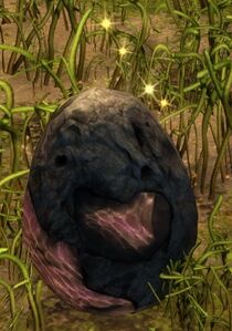 Wyvern Egg (Verdant Brink).jpg