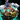 Underwater Homestead Package