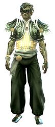 Embroidered armor sylvari male front.jpg
