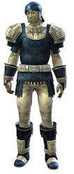 Worn Chain armor sylvari male front.jpg