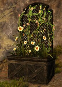 Lattice Planter with Daisies.jpg