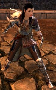 Veteran Ascalonian Monk (human).jpg