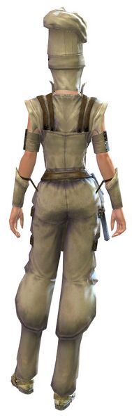File:Cook's Outfit human female back.jpg