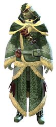 Cabalist armor sylvari male front.jpg