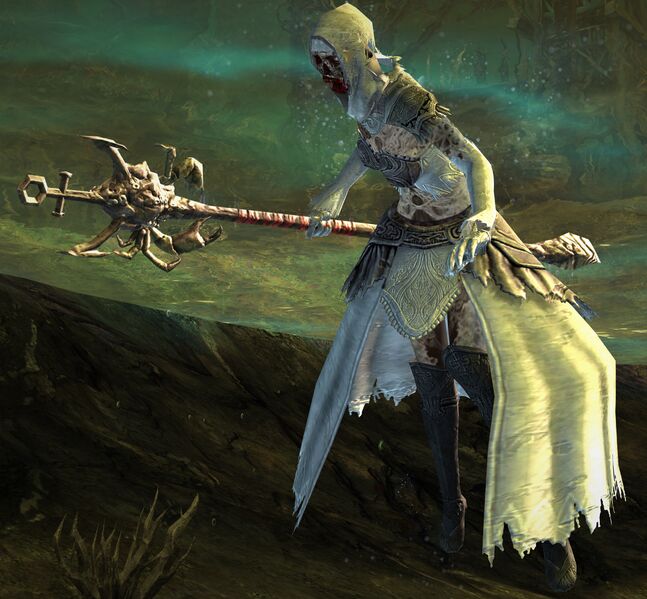 File:Risen Wizard (female 2 underwater).jpg