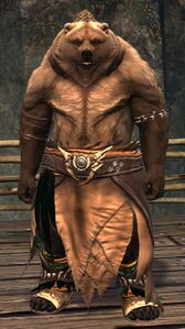 Lowland Kodan light 5.jpg