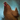 Mini Chicken.png