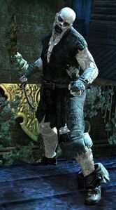 Risen Pirate (male 3 sword).jpg
