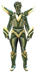 Profane armor sylvari male front.jpg