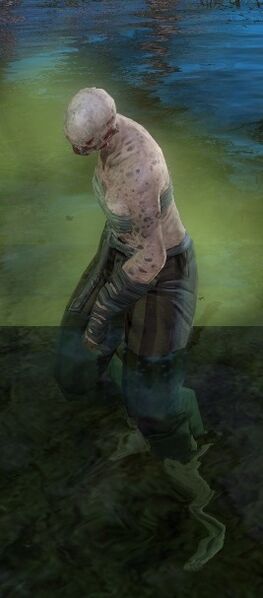 File:Risen Plague Carrier (human female).jpg
